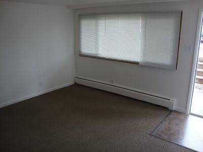 An empty living room and window