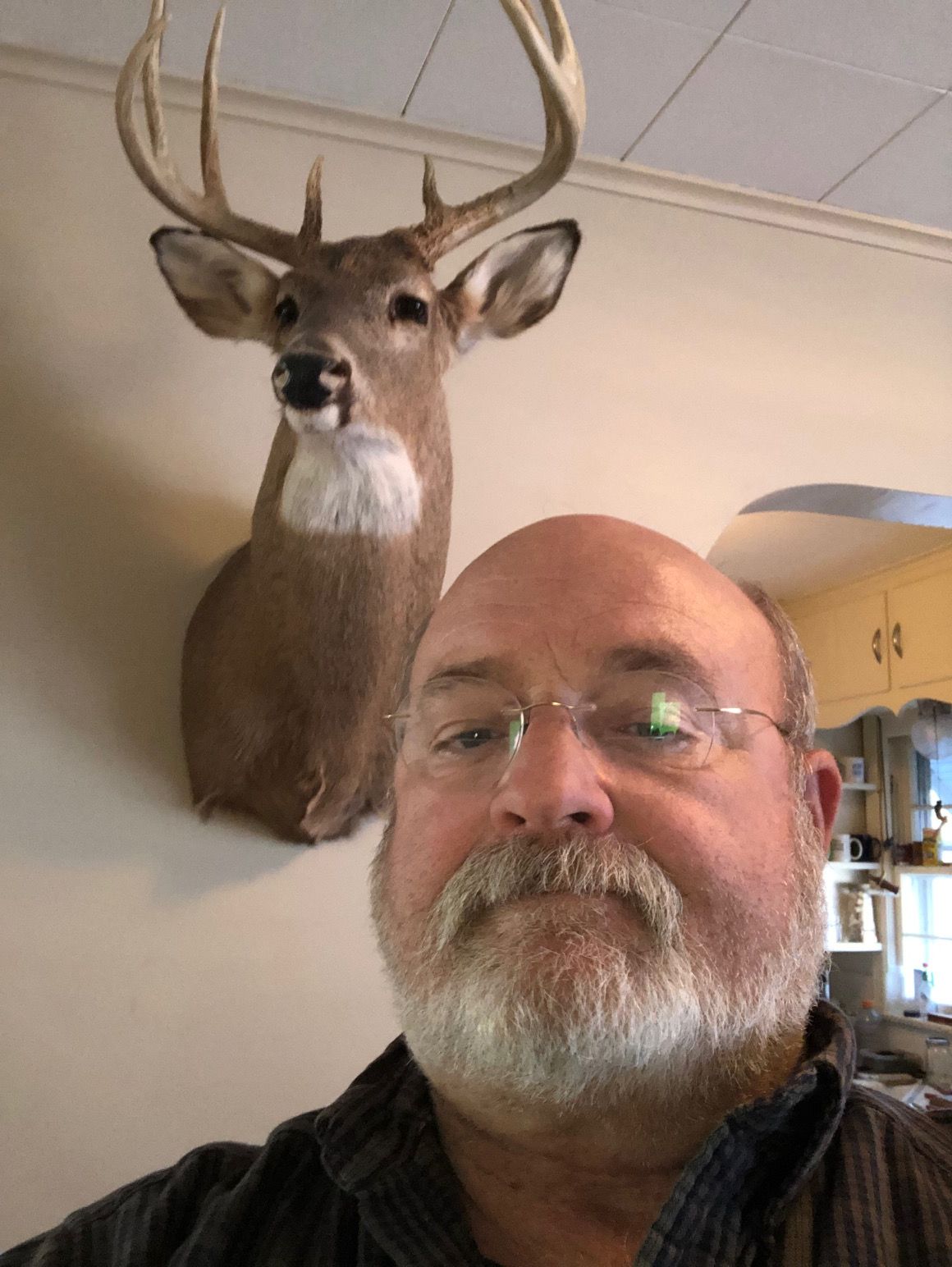 a man with glasses stands in front of a stuffed deer head