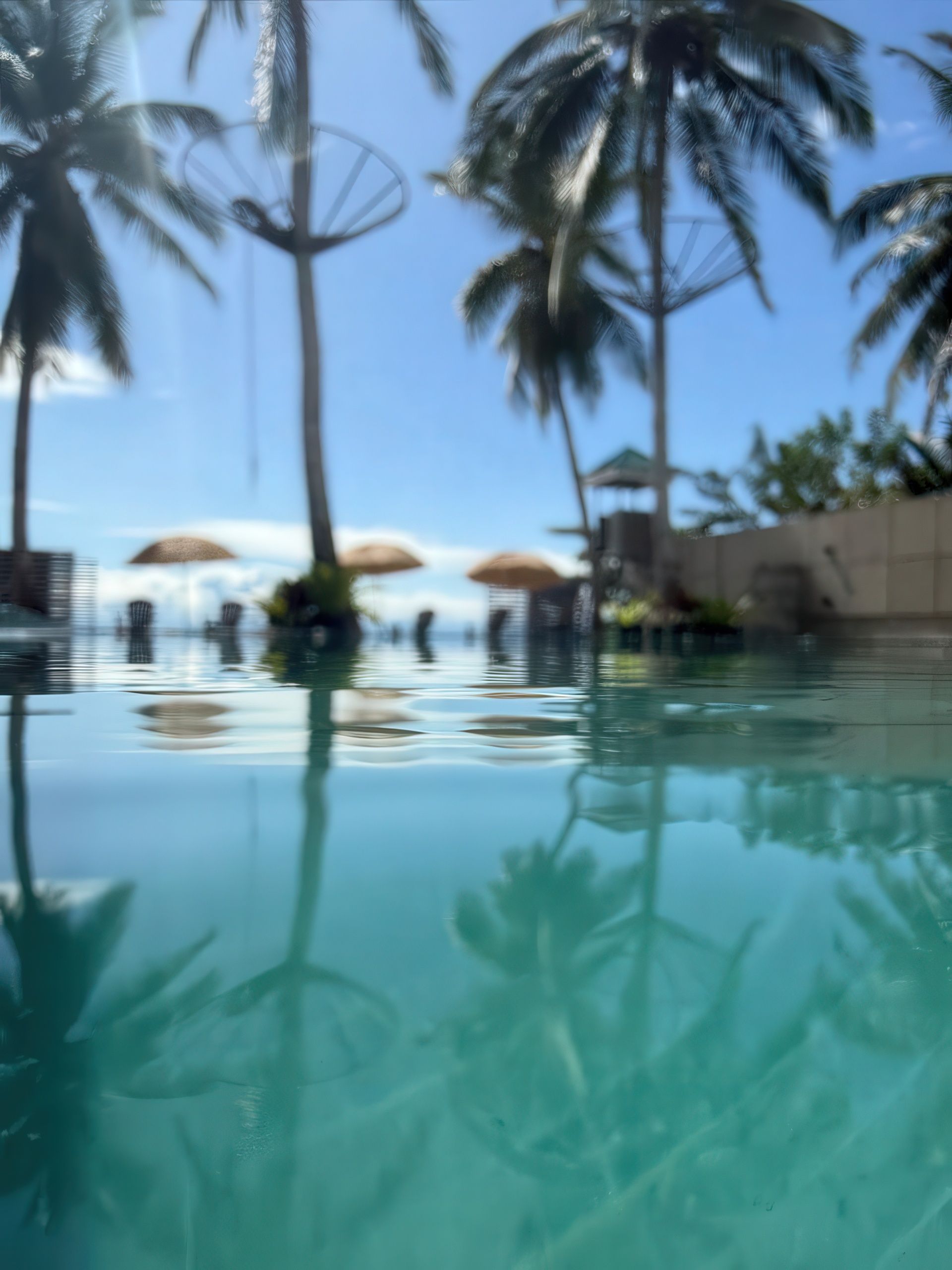 A swimming pool with palm trees in the background