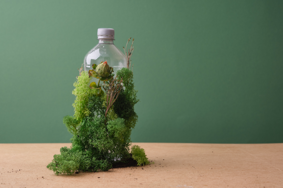 Recycled Water Bottle with Plants around it