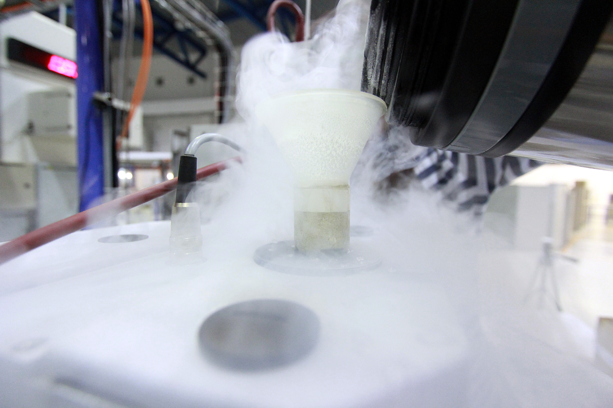 Cryogenic grinding freezing process