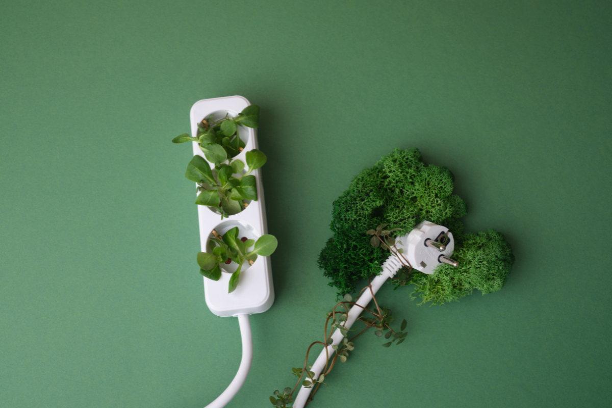 Green Energy. Electrical outlets with greenery on them.