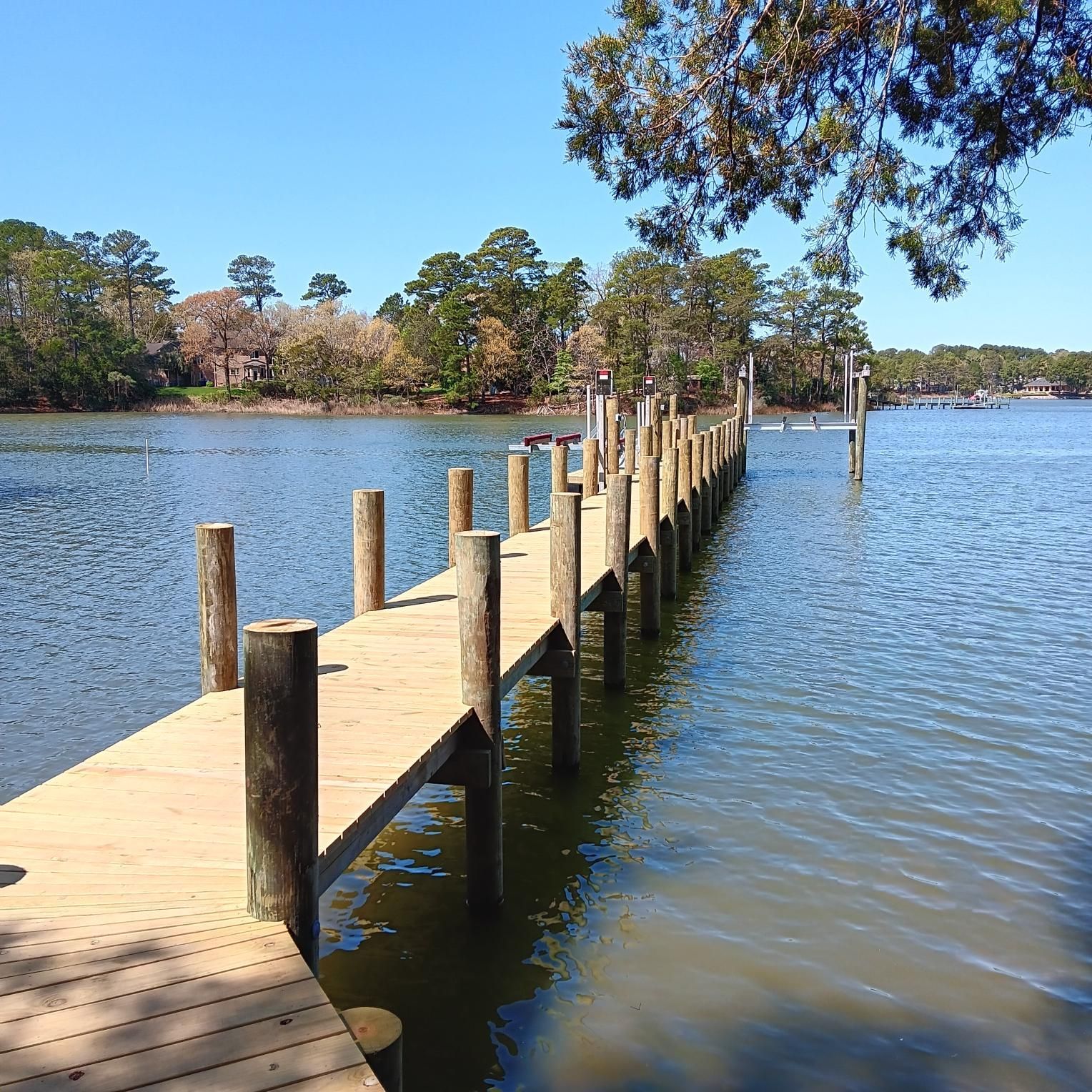 Wooden pier extending into a calm lake with trees and a clear blue sky in the background.