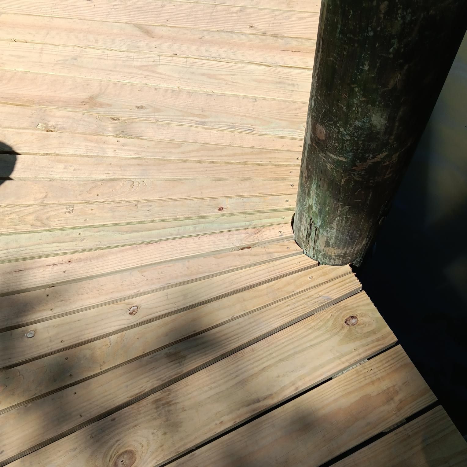 Wooden deck with a tree trunk in the corner. Sunlight casts shadows on the planks.
