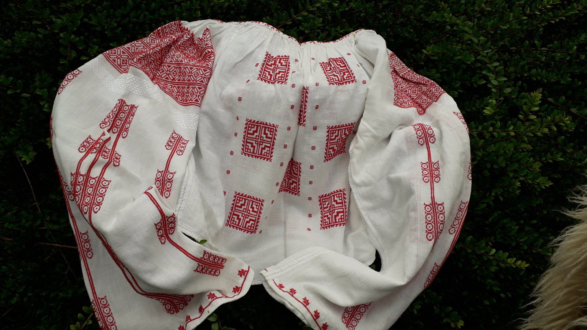 Ie din zona Brăilei