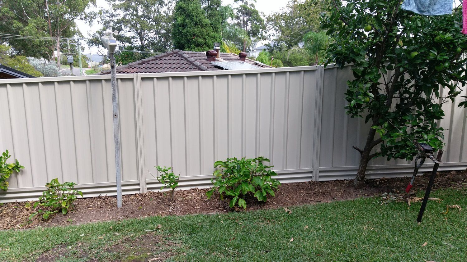 A white fence surrounds a lush green yard with trees and a house in the background.