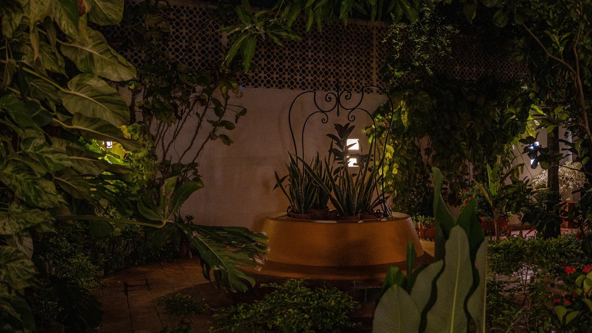 Un jardín oscuro con muchos árboles y plantas por la noche.