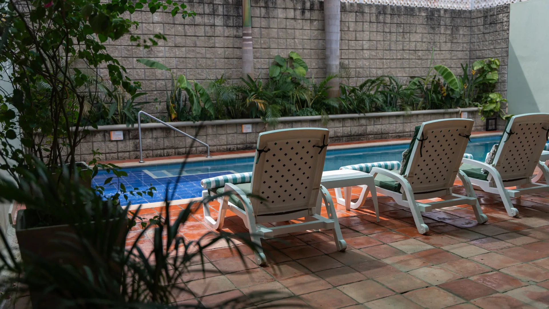 Una fila de tumbonas junto a una piscina.