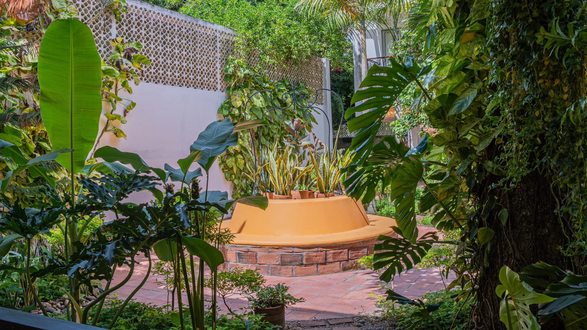 Hay un banco en el medio de un exuberante jardín verde.