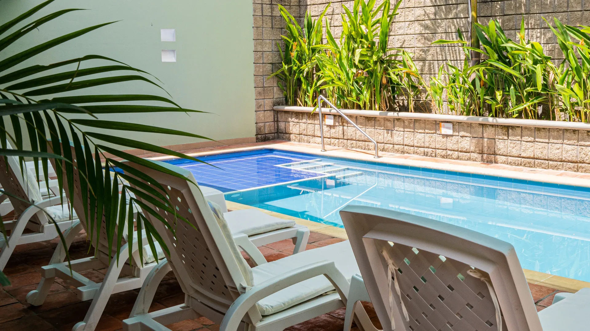 A swimming pool with chairs and a palm tree in the background.
