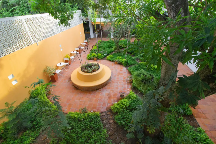 Una vista aérea de un jardín con una fogata en el medio rodeado de árboles y arbustos.