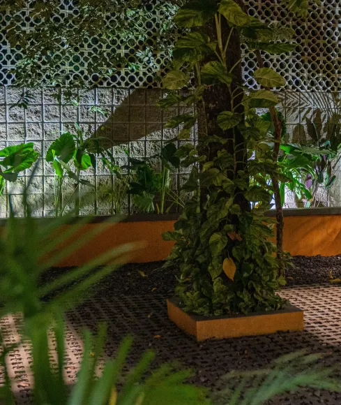 Una valla con muchas plantas creciendo a su alrededor.