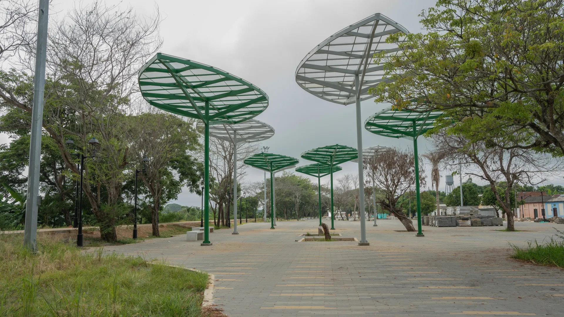 Una hilera de sombrillas verdes en un parque con árboles al fondo.