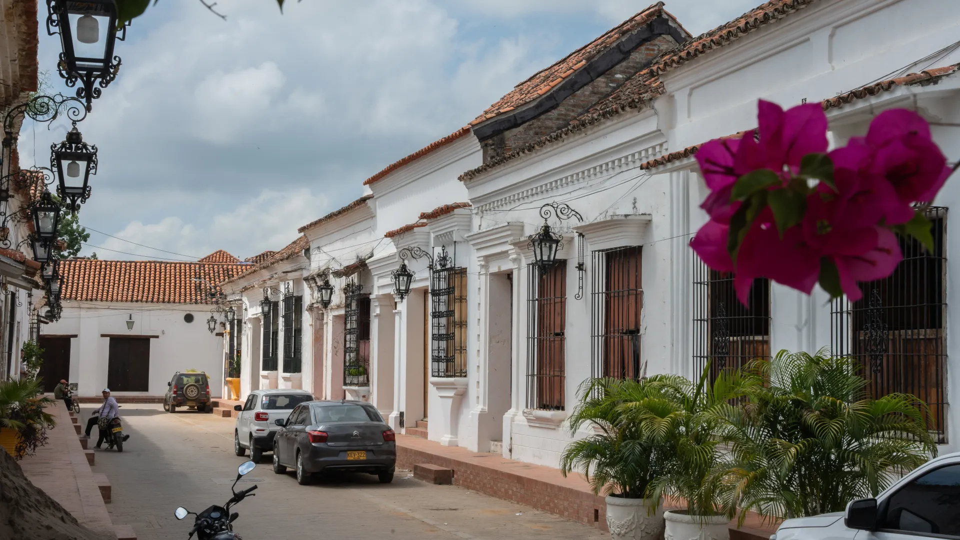 Una hilera de edificios blancos con flores moradas delante de ellos.