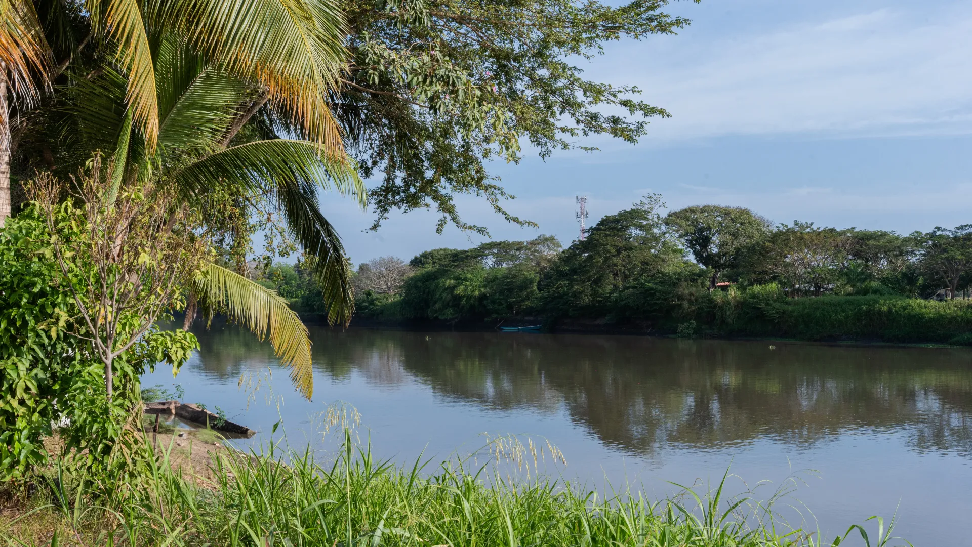 Un río rodeado de árboles y arbustos en un día soleado.