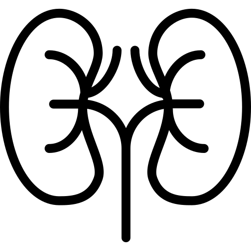 A black and white drawing of two kidneys free icon