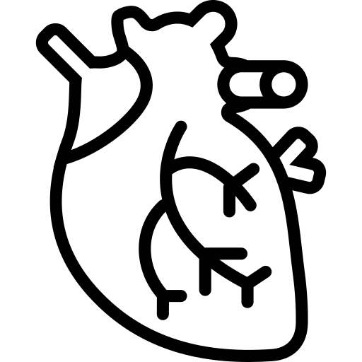 A black and white drawing of a human heart free icon