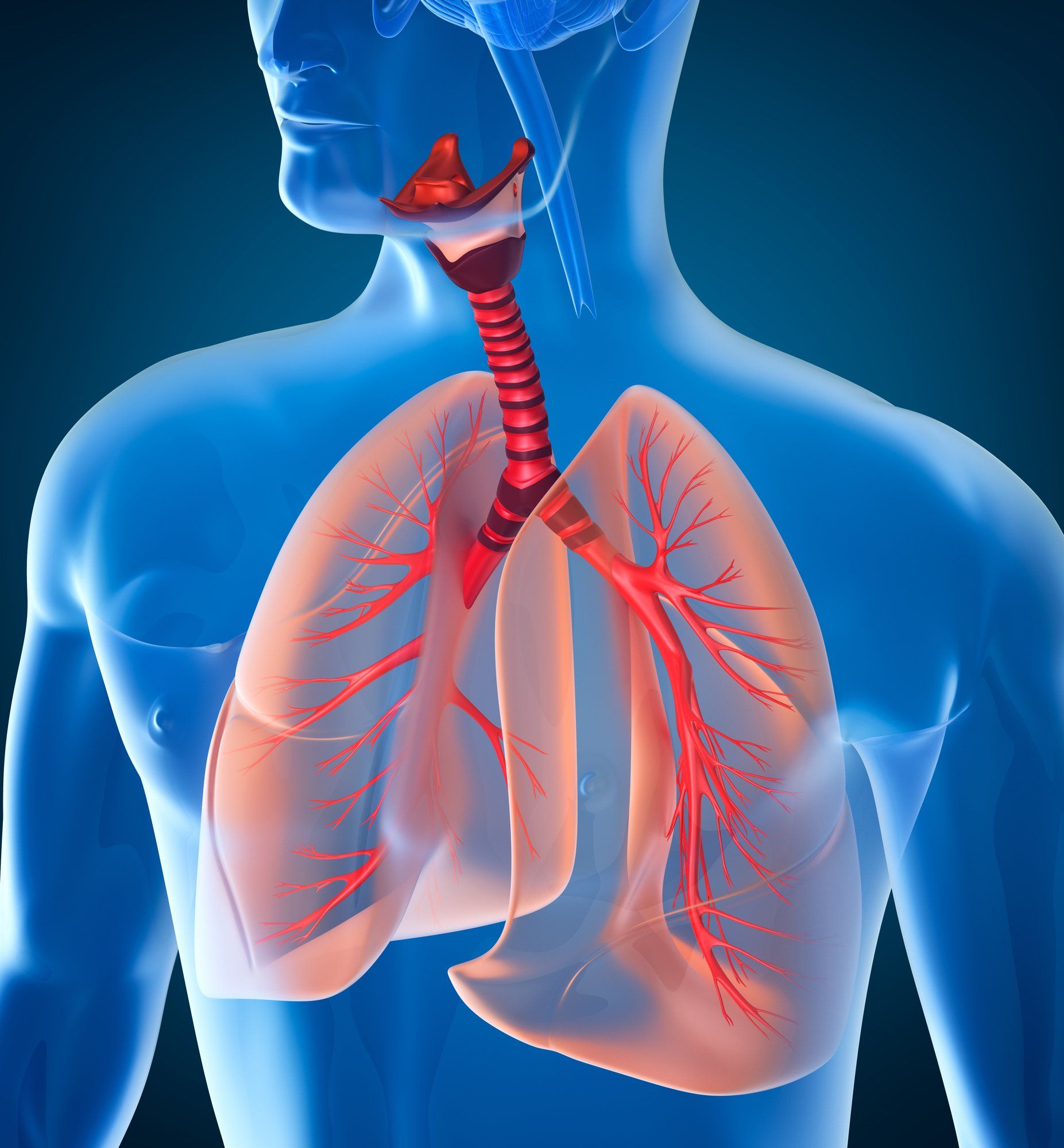 PTSS Voorbij | Het belang van de ademhaling voor het verkrijgen van hartcoherentie