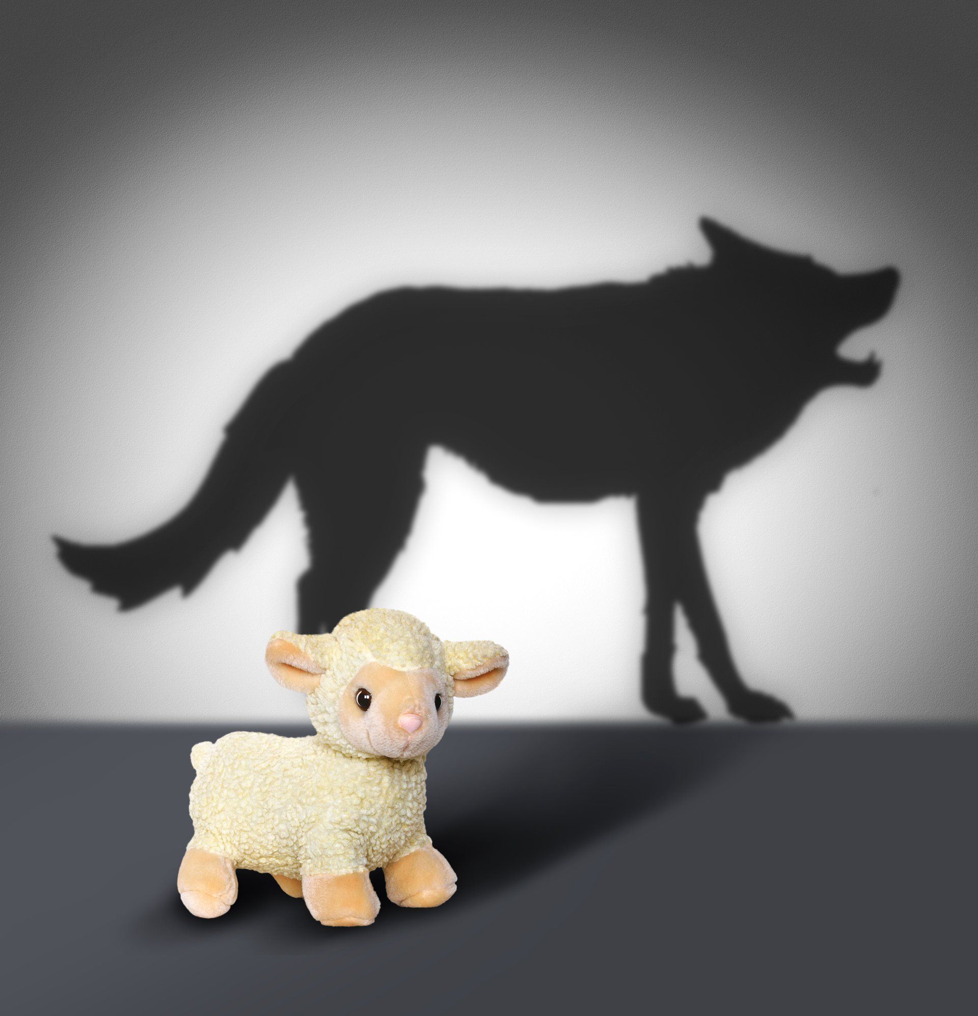 PTSS Voorbij Holistisch Herstel PTSS Trauma Johan Reinhoudt Sheep and Wolf Shadow Concept Graphic