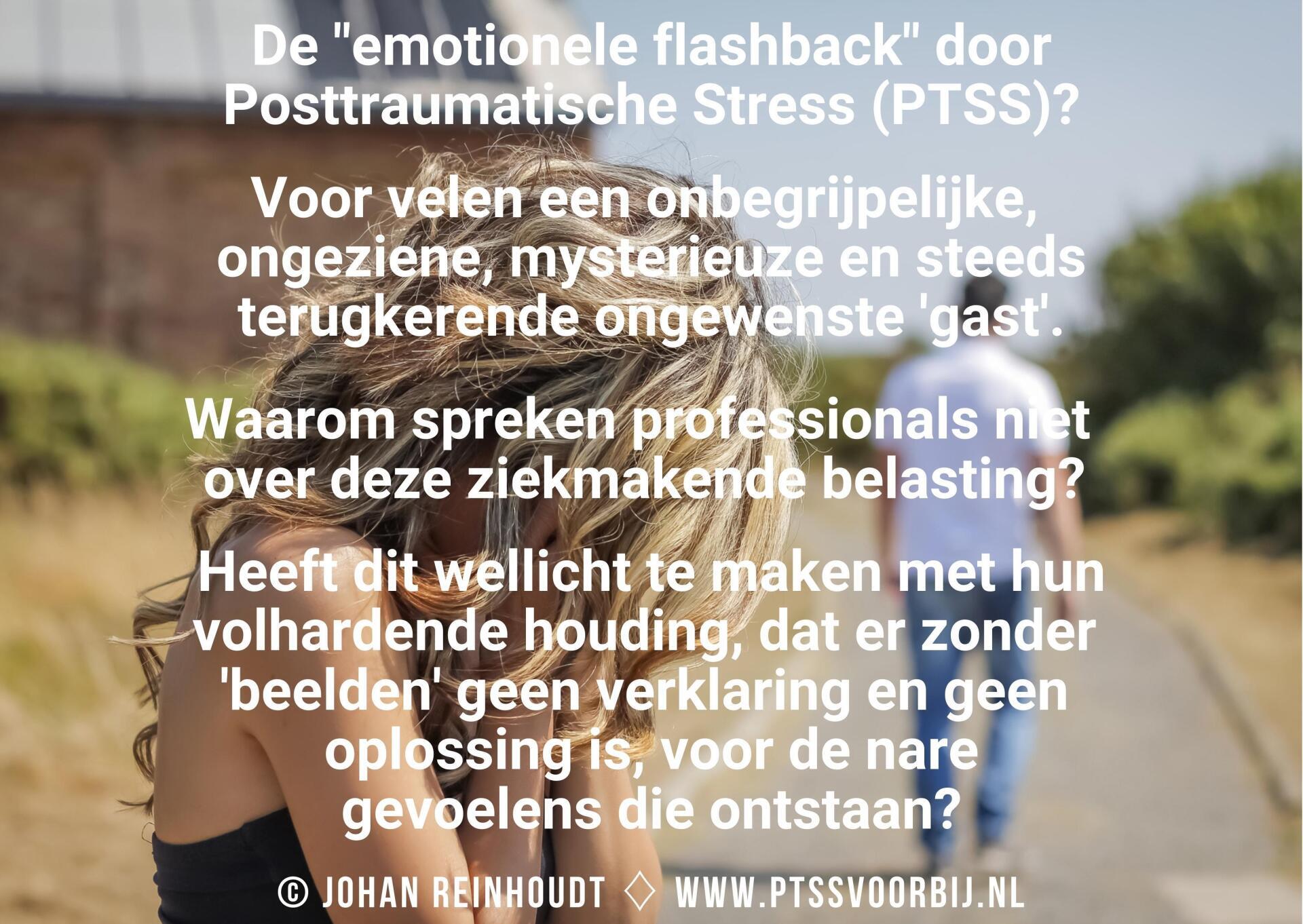 PTSS Voorbij Holistisch Herstel van PTSS Trauma Johan Reinhoudt De Emotionele Flashback door Posttraumatische Stress (PTSS)