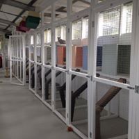 cat on perch at The Cattery