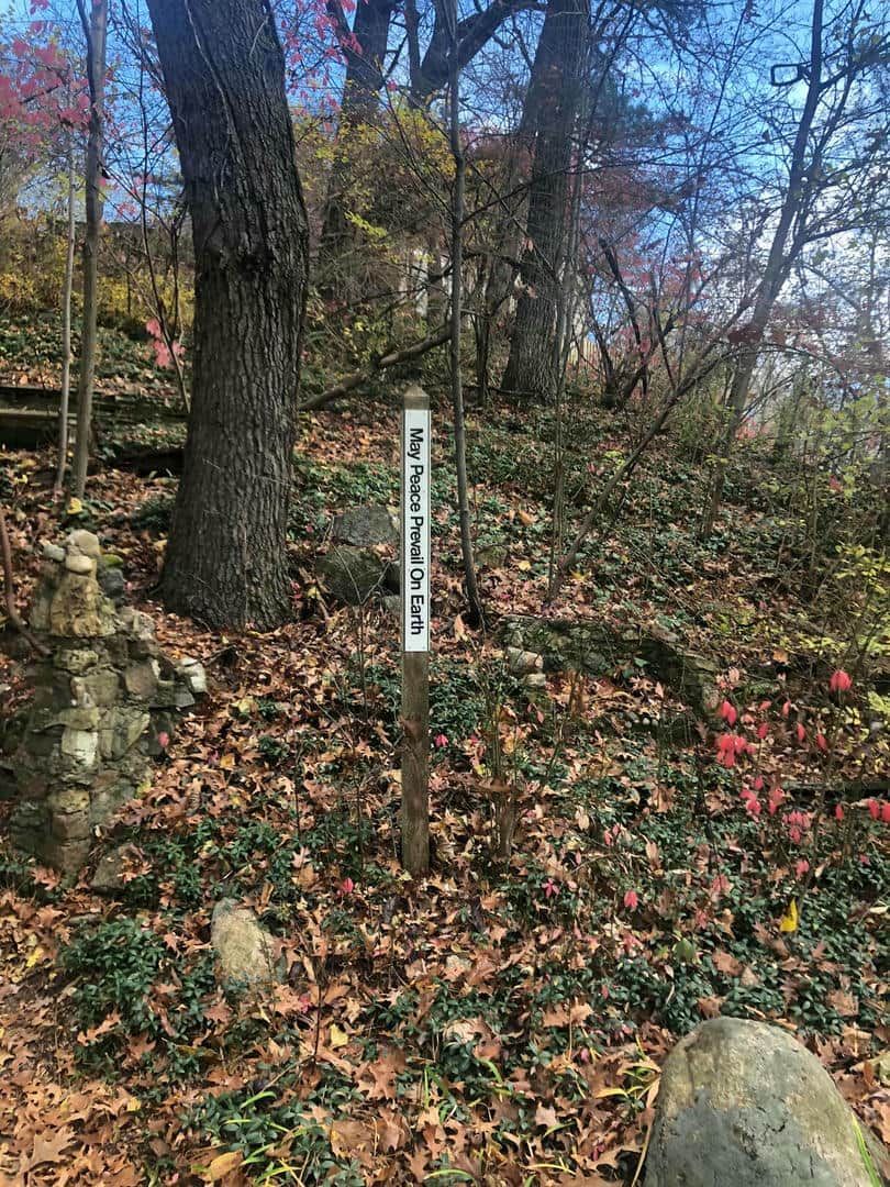A wooden post in the middle of a forest with a sign on it.