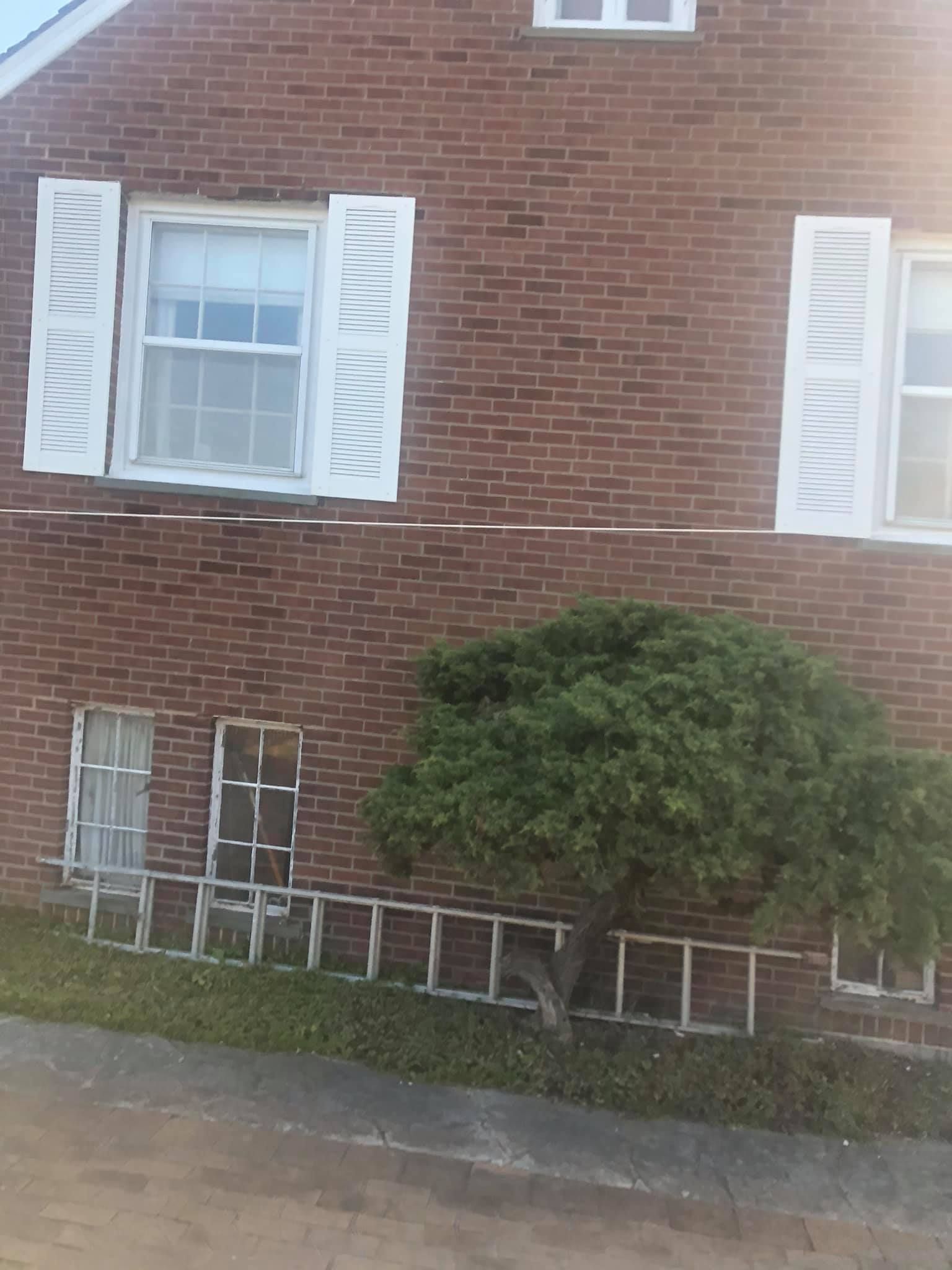 A brick house with white shutters and a tree in front of it