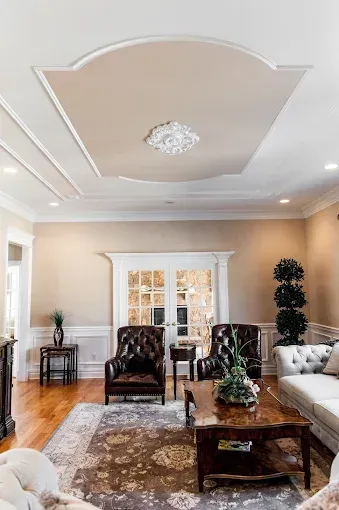 Living room with brown leather armchairs, a patterned rug, and a decorative ceiling.