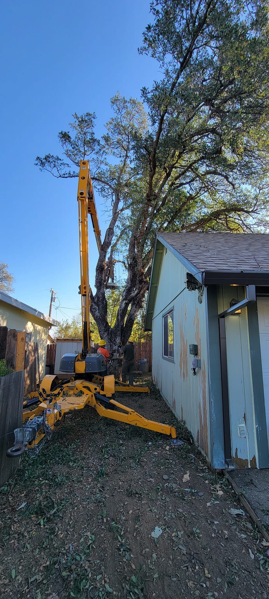 A yellow tree-trimming machine is in action beside a small blue house, with a large tree in the middle.