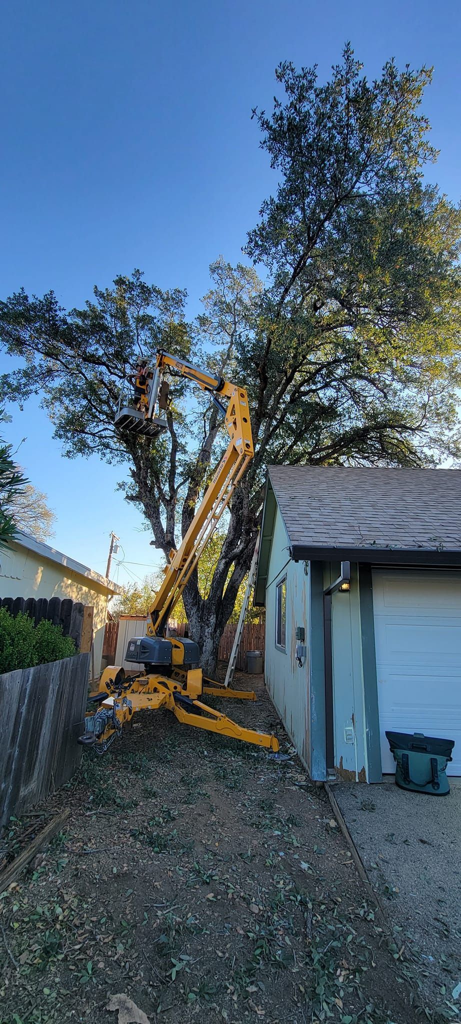 A yellow cherry picker trims a tall tree next to a light-colored garage and a wooden fence.