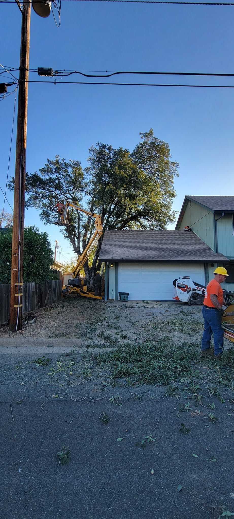 A tree trimmer with safety gear works near a garage. Leaves on the ground. Clear sky.
