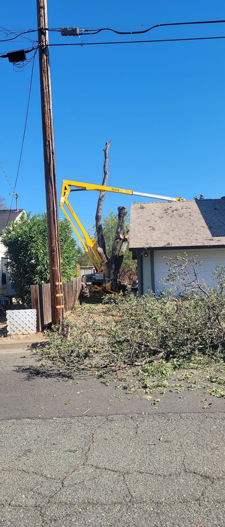 A tree trimming service uses a boom lift in front of a house, with a pile of branches on the ground.