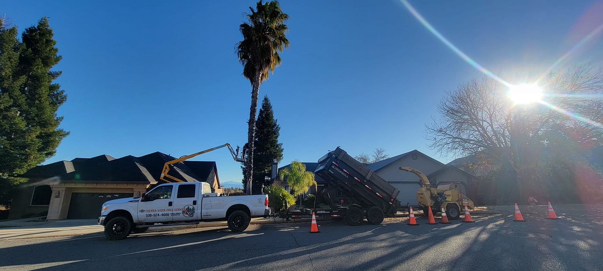 A tree being cut down by a white truck with a lift in a residential neighborhood. Bright sunshine.