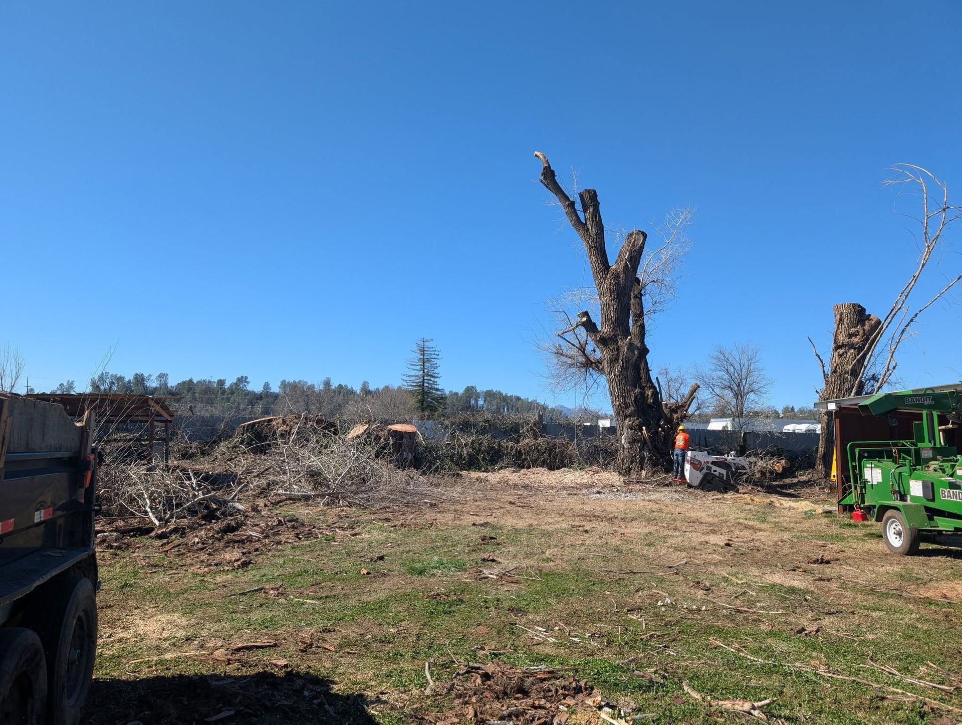A cleared field with cut trees, debris, and equipment under a bright blue sky.