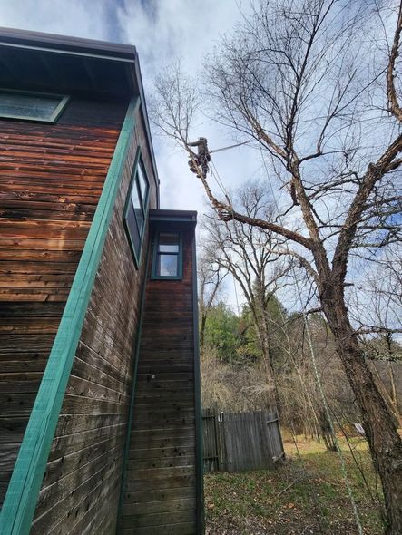 A person trims a tree branch near a wooden building, outdoors. Blue sky.