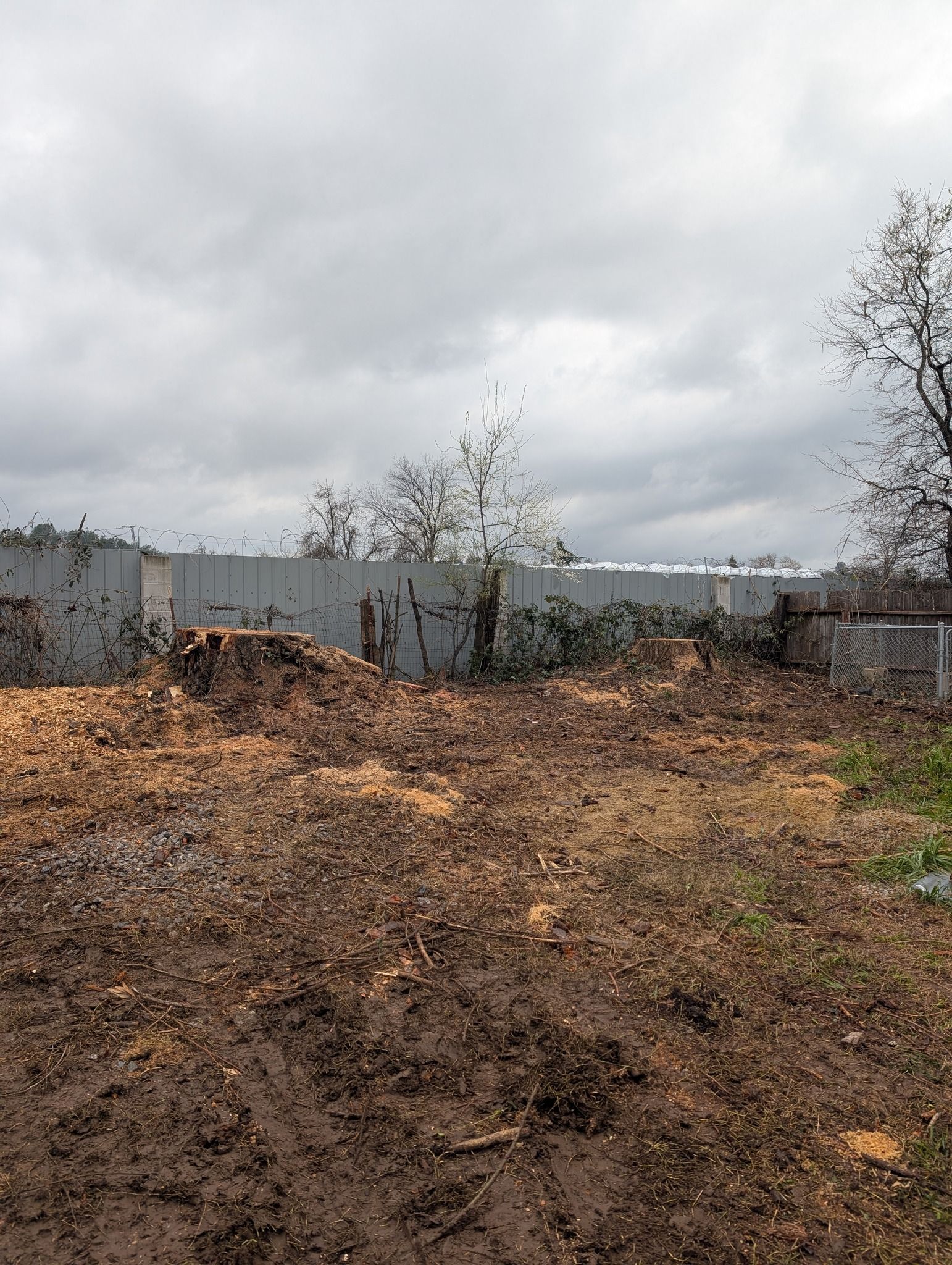 Dirt path leads to a wooden fence, piles of dirt and wood chips, under a cloudy sky.