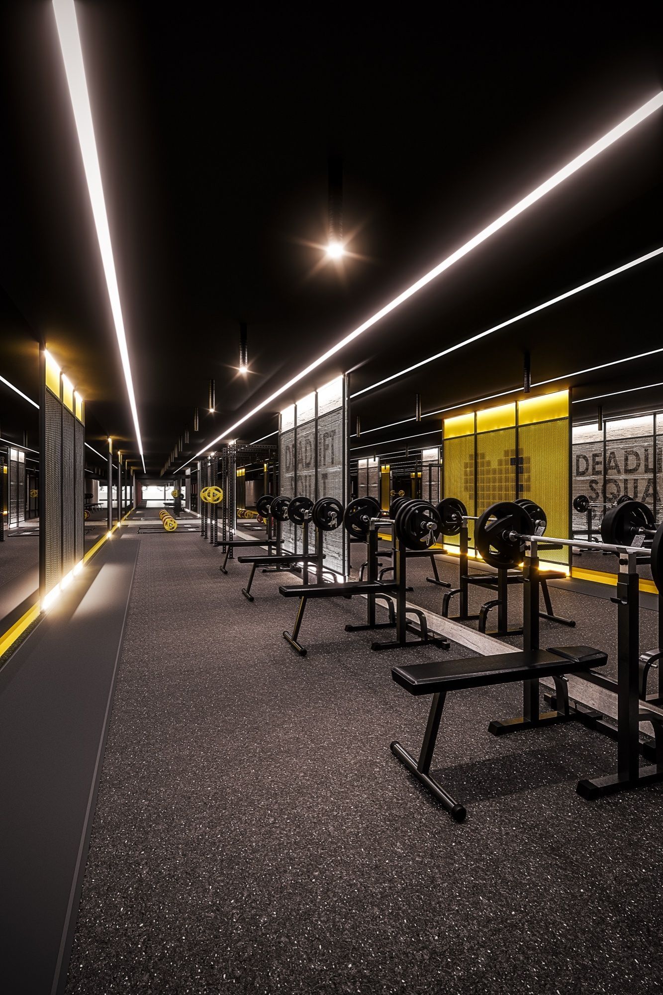 A Modern Gym Interior with Rows of Weightlifting Benches and Barbells Under Bright Linear Lighting on A Black Ceiling.
