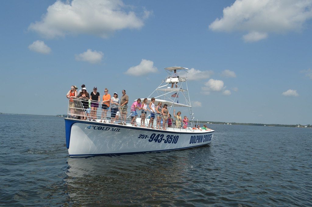 dolphin cruise orange beach