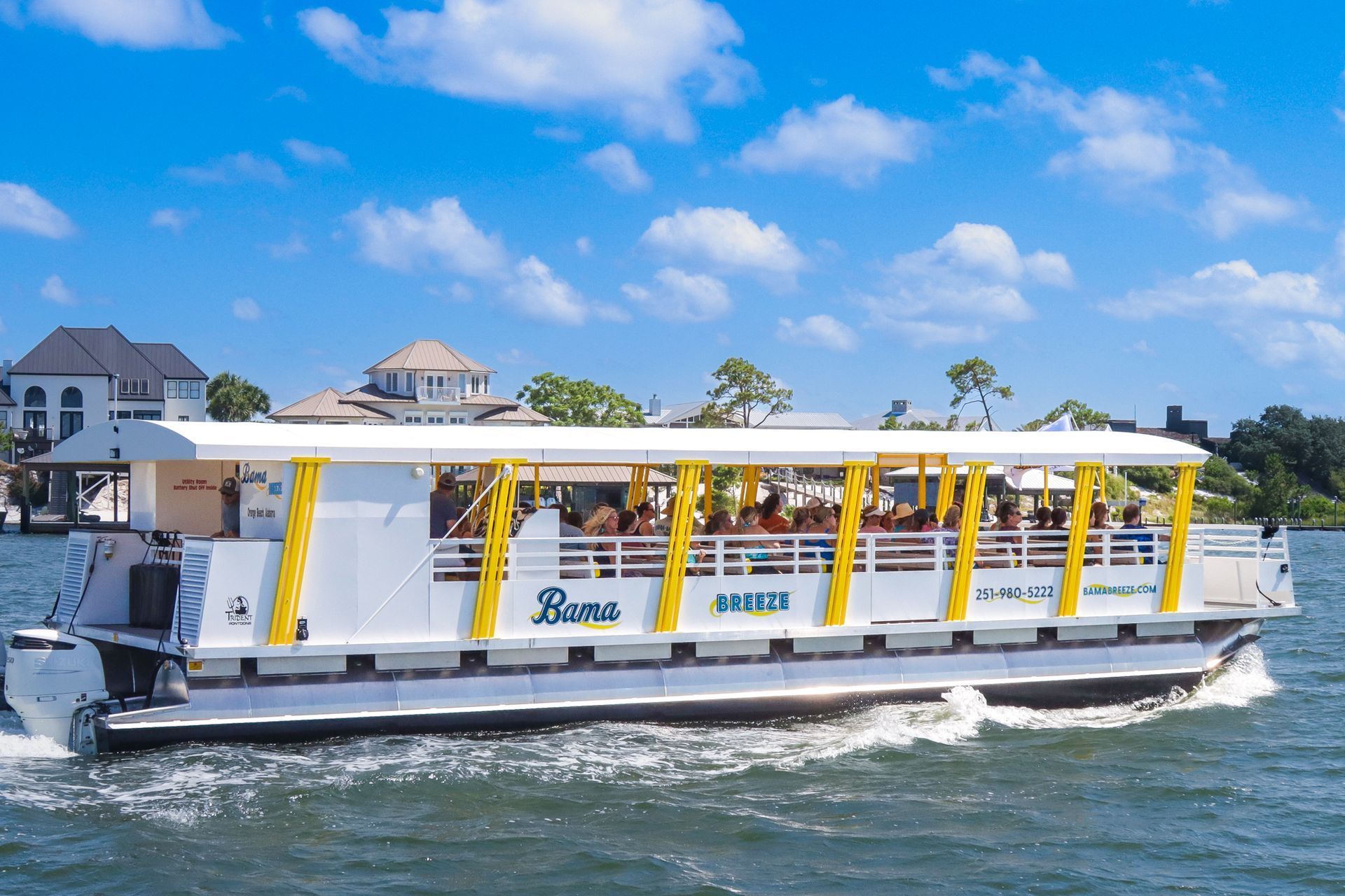 Dolphin cruise in Orange Beach