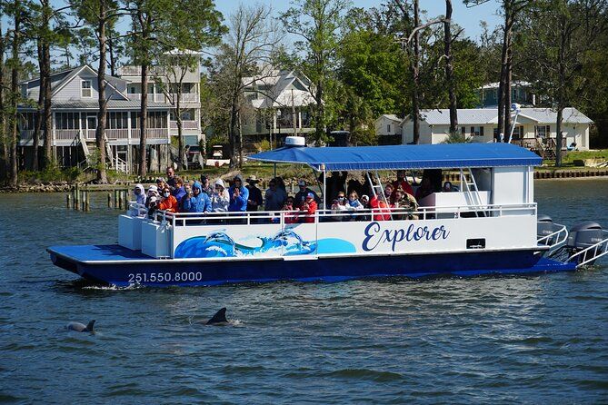 Orange Beach dolphin cruise