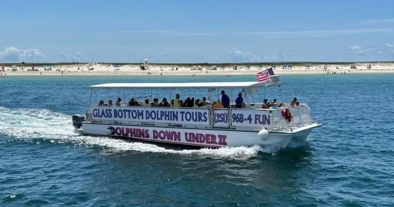 dolphin cruise orange beach