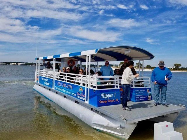 dolphin cruise orange beach