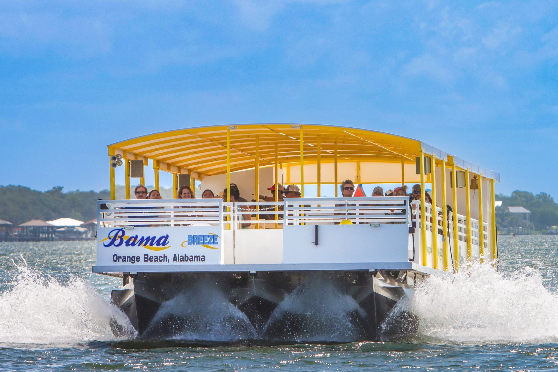 Orange Beach dolphin cruise