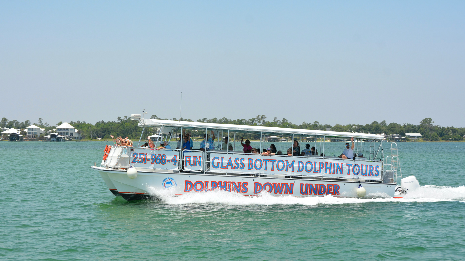Dolphin cruise orange beach