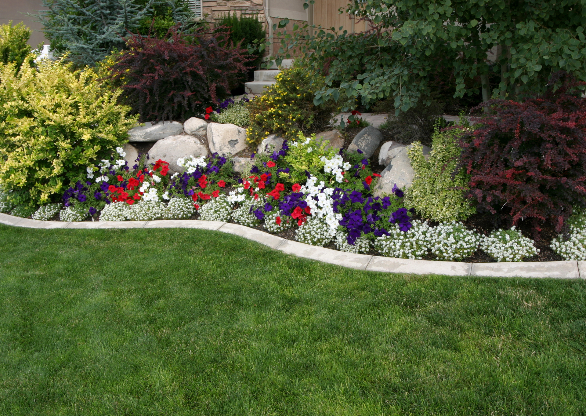 A garden with flowers and rocks in front of a house