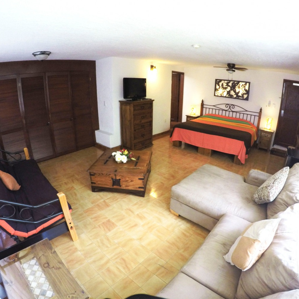 Una sala de estar con un sofá y una cama.