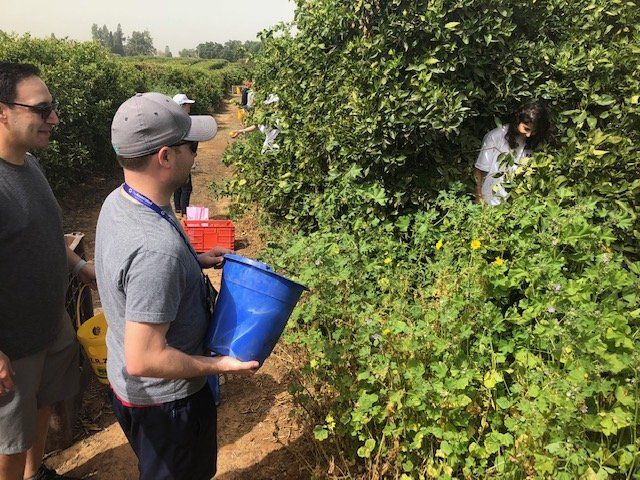 The-Associated-young-professional-trip-Israel