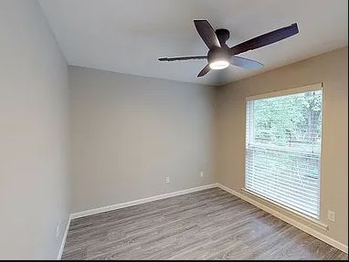 Empty gray bedroom with wood flooring, ceiling fan, and a window with blinds