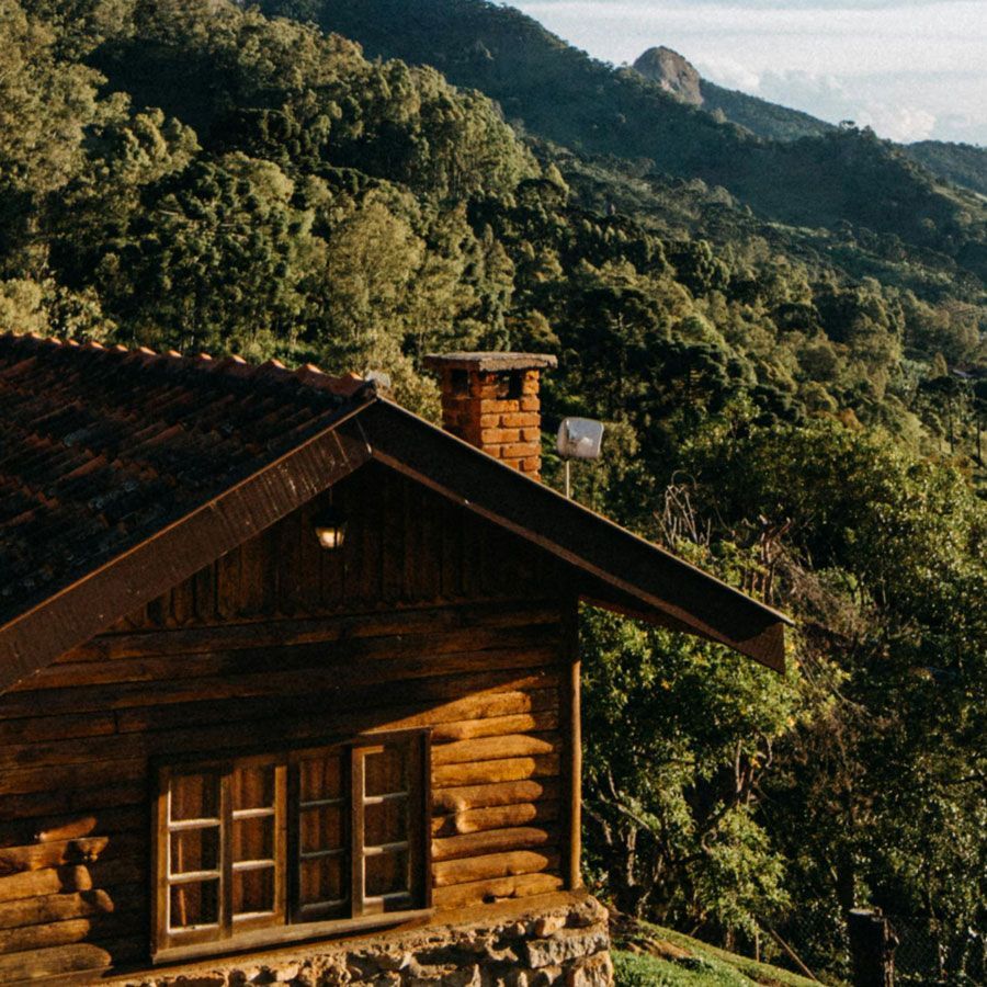 A log cabin in the middle of a forest with mountains in the background