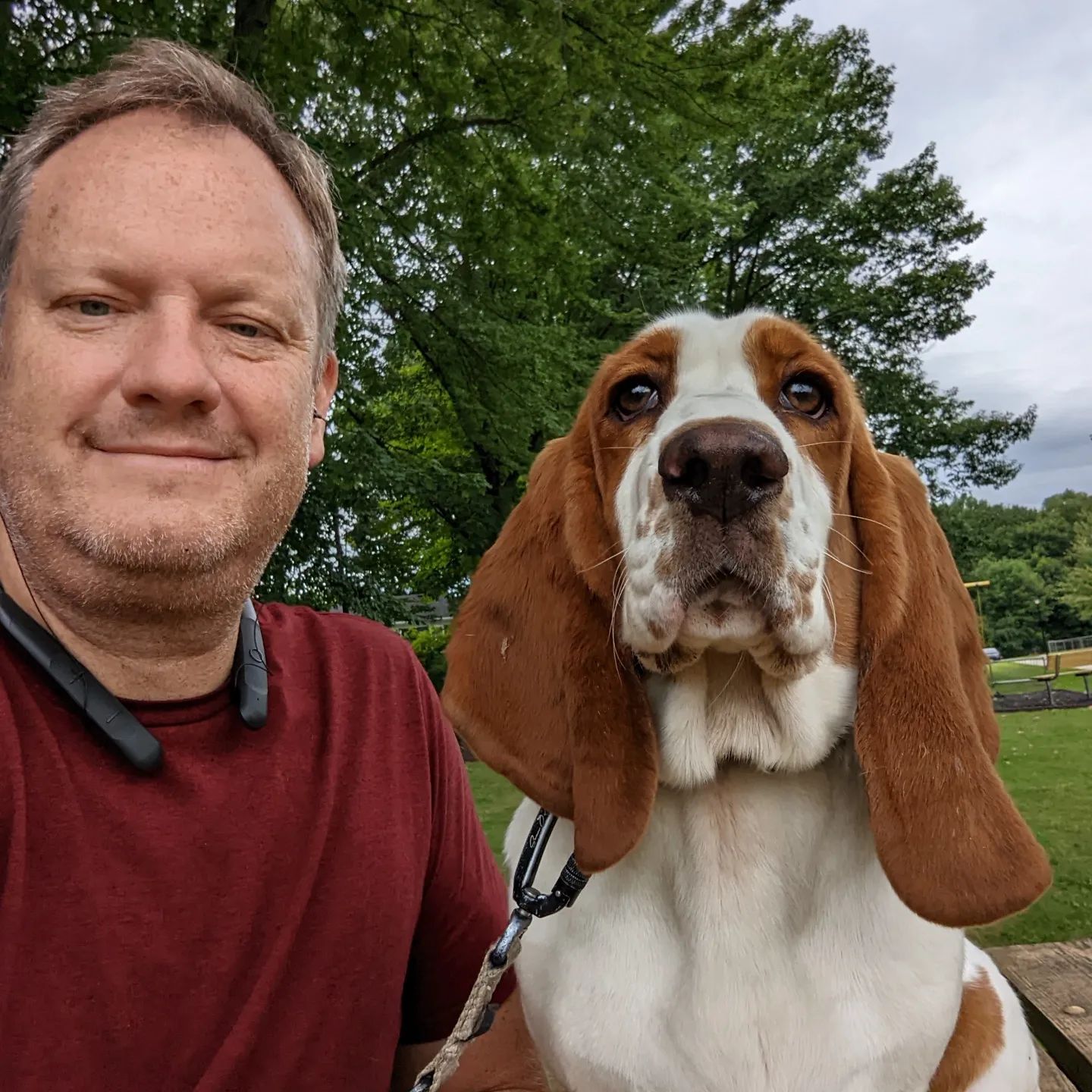 A man is standing next to a brown and white basset hound on a leash.